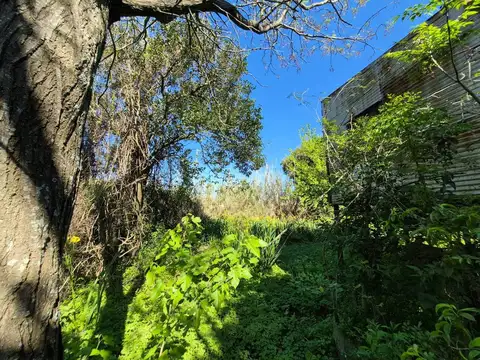 Terreno en Venta de 10000,0 m2