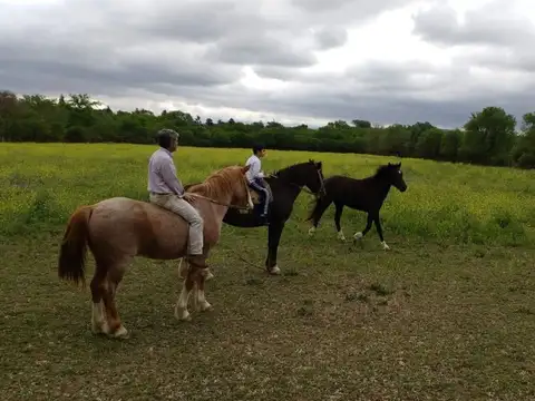 Terreno en Venta en Villa Anisacate, USD 15.500