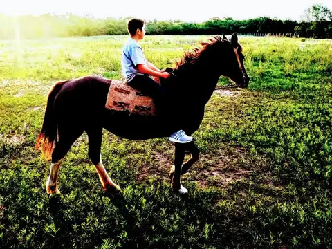 Terreno en Venta de 1015,0 m2