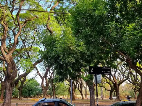 Departamento en Alquiler de 2 dormitorios