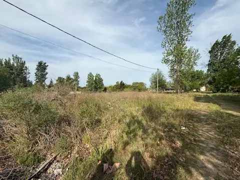 Calle Pueblos Originarios