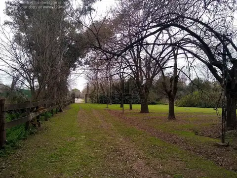 Vieytes Y Dr. Ferrari