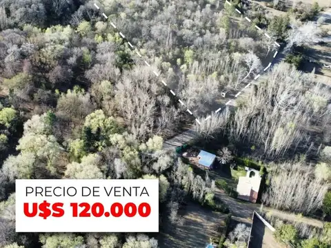 Frente a la municipalidad