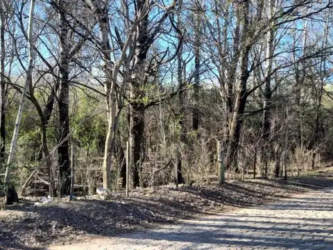 Frente a la municipalidad