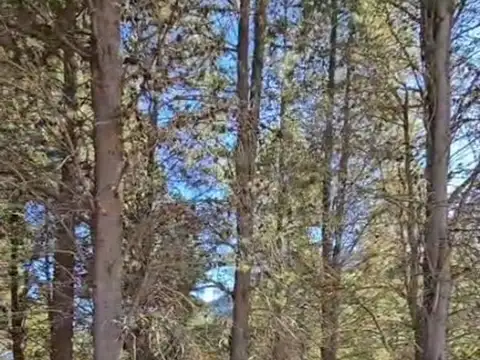 Terreno en Venta en El Hoyo, USD 55.000