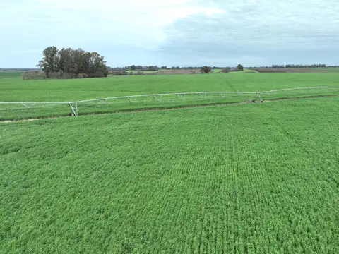 210 Has. Campo agrícola en Arrecifes