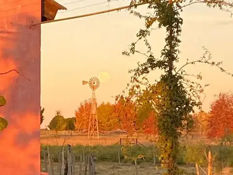 Casa en Venta 10 años