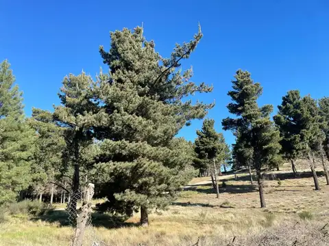 Terreno en Venta de 308,0 m2