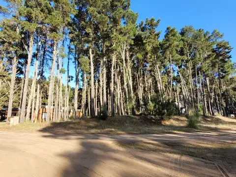 Terreno en Venta de 1119,0 m2