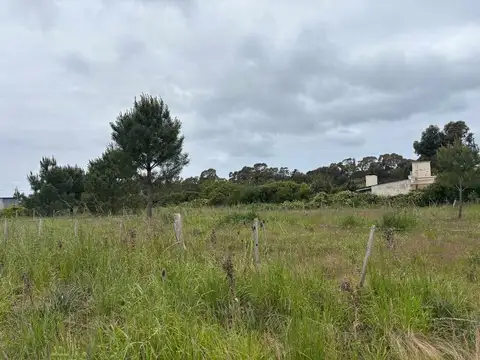 Terreno en Venta de 300,0 m2