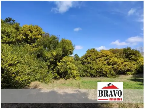 LOTE MULTIFAMILIAR/HOTELERO de 1.134 M2 - Las Gaviotas | Cod. 0534 |