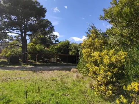 Calle 28 entre Av. Punta del Este y Copacabana 100