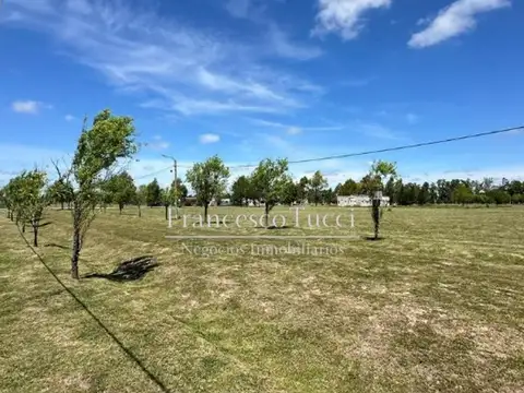 Terreno en Venta de 2330,0 m2