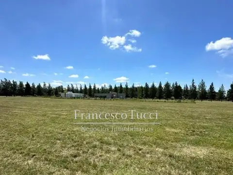 Ruta 2 Km 65 Lote / N° 0