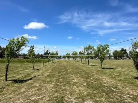 Terreno en Venta en Coronel Brandsen, USD 20.000