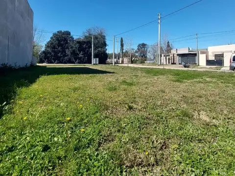 Terreno en venta - 333Mts2 - San Andrés de Giles