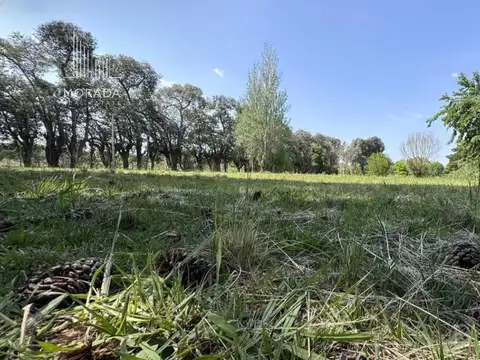 Terreno en Venta en Chacras De Murray, USD 110.000