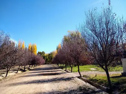 Terreno en Venta de 2000,0 m2