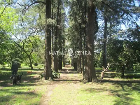 Terreno en Venta en San Nicolás, USD 1.000.000