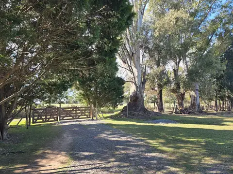 CALLE VECINAL  CARDALES