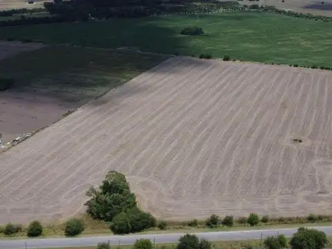 Terreno en Venta 310  mts Fondo