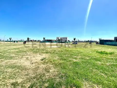 Terreno en Venta 40  mts Fondo