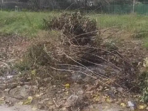 Terreno en Venta en Tristan Suarez, USD 35.000