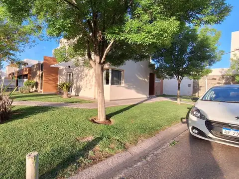 Viñas del Torreón 20