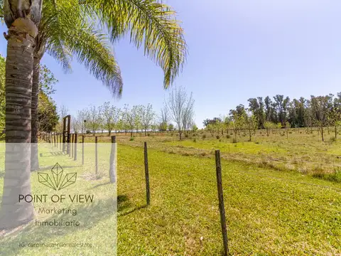 VENTA DE  ESTANCIA DE 100 HAS CON PRODUCCION AGRICOLA GANADERA - CONCEPCION DEL URUGUAY - ENTRE RIOS