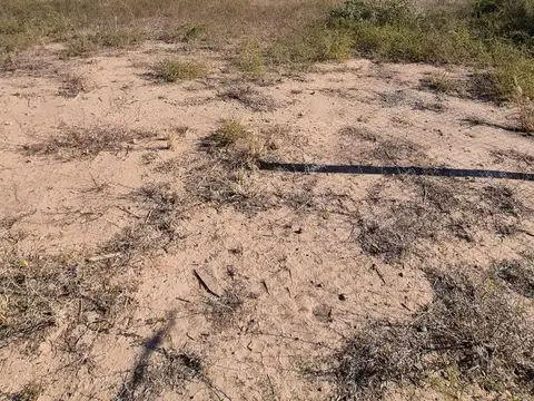 Venta Lote 900 m2  Mendoza Rugby Guaymallén