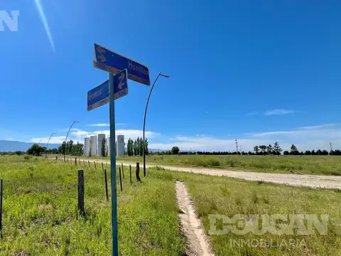 Terreno en Venta 29  mts Fondo