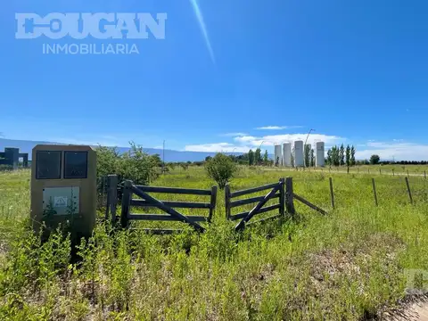 Estación Conlara (Aromos & Husillos)