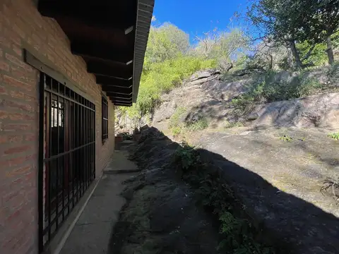 Cuesta del Rey Bosque 300