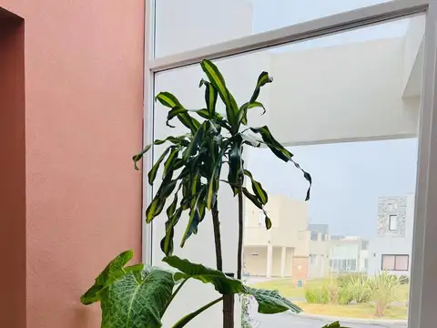 Casa en Venta 11 años