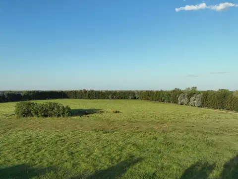 Campo en Venta de 20  ha