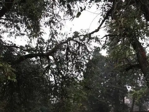 Terreno en Venta en San Diego Country Club, USD 315.000