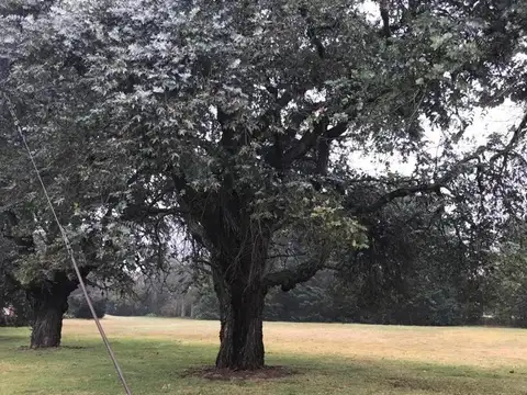 Acc Oeste Km 42 Lote / N° 0