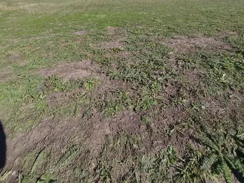 Terreno en Venta de 800,0 m2