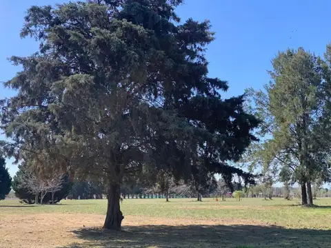 Terreno en Venta de 5238,0 m2