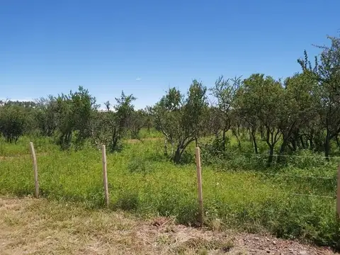 Terreno en Venta en Cerro De Oro, USD 27.000