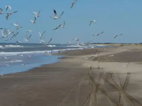 Terreno en Venta 20  mts Frente