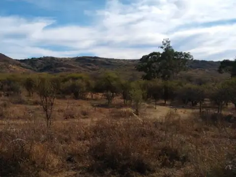 Terreno en Venta 10.000  mts Frente