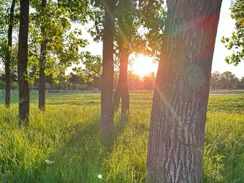 Terreno en Venta en Manuel Alberti, USD 220.000