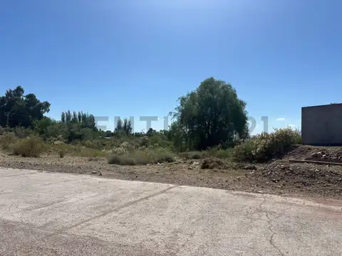 Terreno en Venta en Lujan De Cuyo, USD 7.000