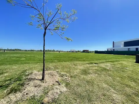 Terreno en Venta de 761,0 m2