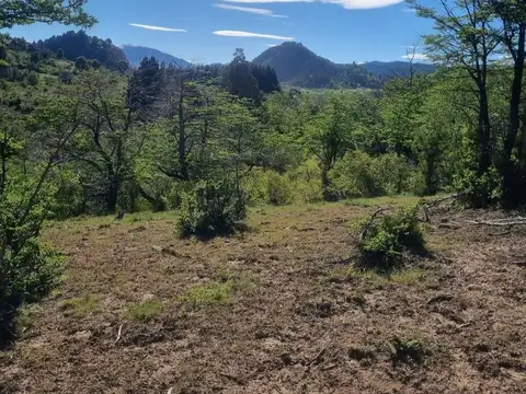 Chacra con costa de rio a 4 kilómetros de Corcovado