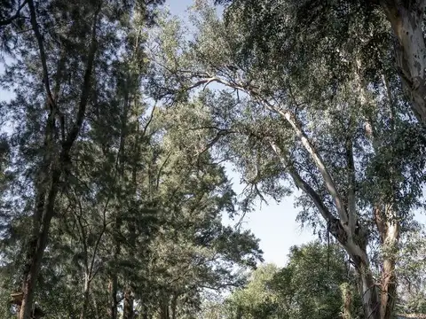 VENTA LOTE DE 692M2 FINANCIADO- DEL VISO PILAR