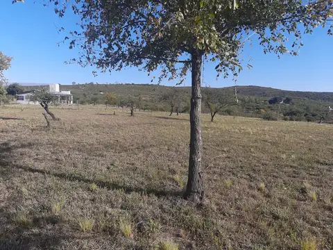 Terreno en Venta 26  mts Fondo