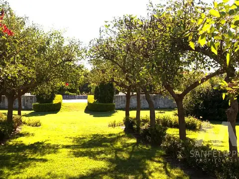 Terreno en Venta 2  mts Fondo