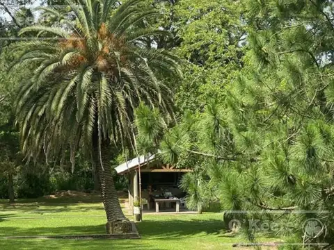 Espectacular Unicas.!!!!  Tierra apta desarrollo de 27 has en el Delta. Con laguna interna.